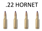 .22 Hornet