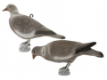 Pigeon Feeding Flock coated plastic decoy with Legs   (GB1250)
