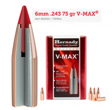 6mm .243 75 gr V-MAX (GE1115)