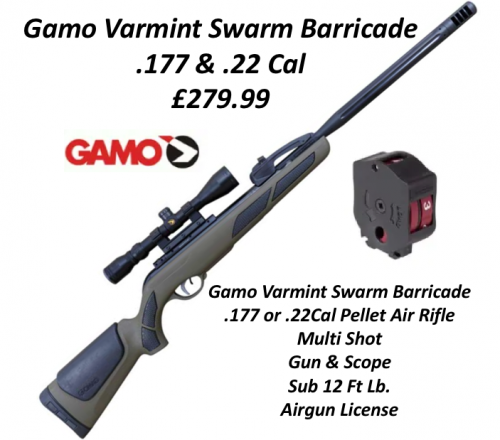 Gamo Vermint Barricade with scope  (GS1049)