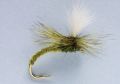 Terrys Emerger Olive