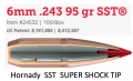 SST 6mm/.243" 95gr InterLock w/Cann (QTY 100) (GE1135)